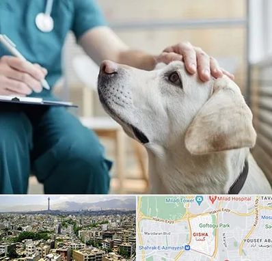 کلینیک دامپزشکی در گیشا