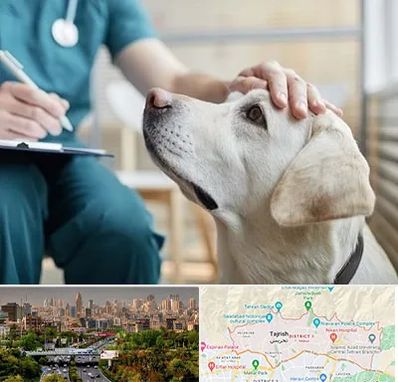 کلینیک دامپزشکی در منطقه 1 تهران