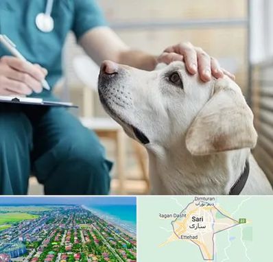 کلینیک دامپزشکی در ساری