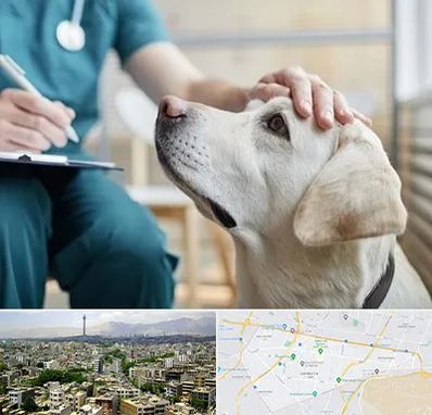 کلینیک دامپزشکی در منطقه 8 تهران