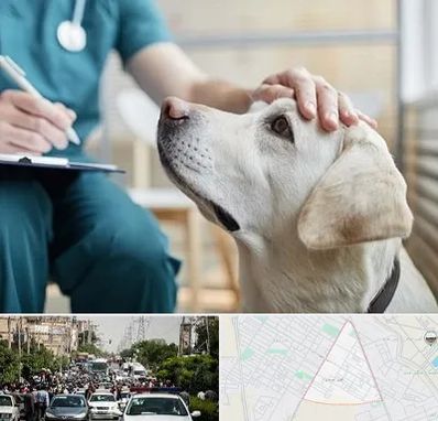 کلینیک دامپزشکی در سیدی مشهد