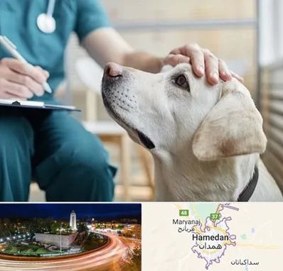 کلینیک دامپزشکی در همدان