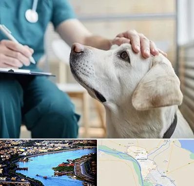 کلینیک دامپزشکی در خرمشهر