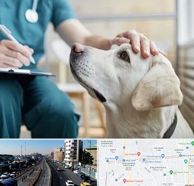 کلینیک دامپزشکی در پیروزی