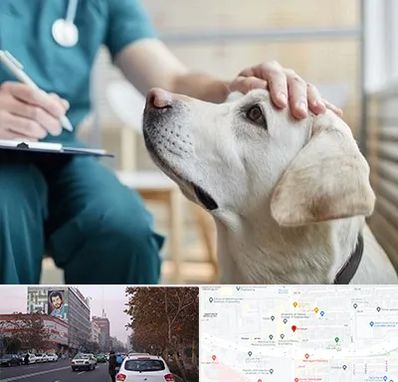 کلینیک دامپزشکی در کارگر شمالی