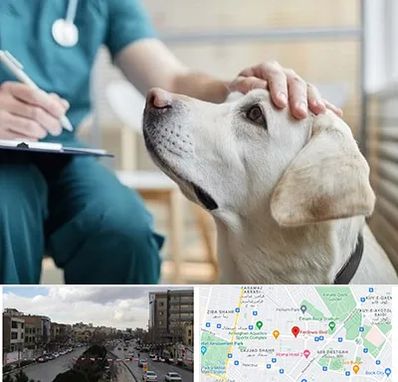 کلینیک دامپزشکی در بلوار فردوسی مشهد