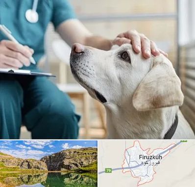 کلینیک دامپزشکی در فیروزکوه