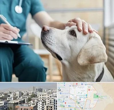 کلینیک دامپزشکی در منطقه 14 تهران