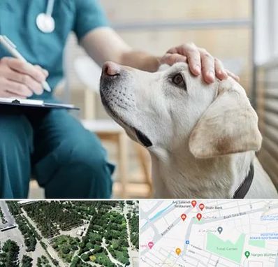 کلینیک دامپزشکی در سالاریه قم