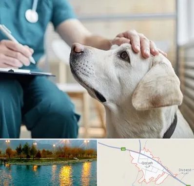 کلینیک دامپزشکی در قروه