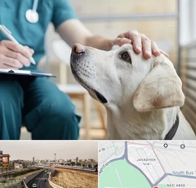 کلینیک دامپزشکی در جوادیه