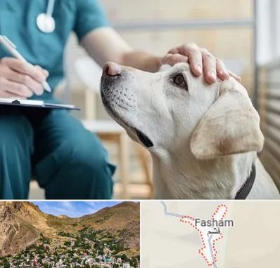 کلینیک دامپزشکی در فشم