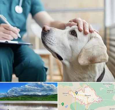 کلینیک دامپزشکی در مرند