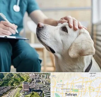 کلینیک دامپزشکی در شمال تهران