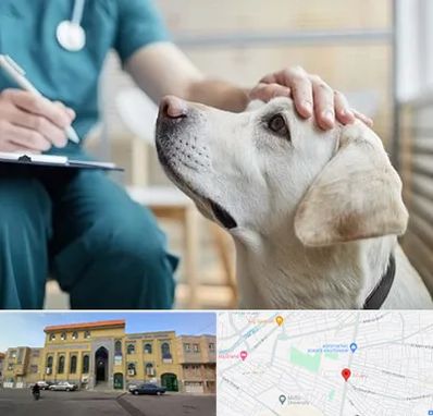 کلینیک دامپزشکی در زنبیل آباد قم
