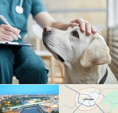 کلینیک دامپزشکی در سوسنگرد