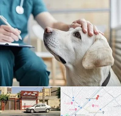 کلینیک دامپزشکی در باجک قم