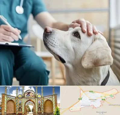 کلینیک دامپزشکی در سمنان