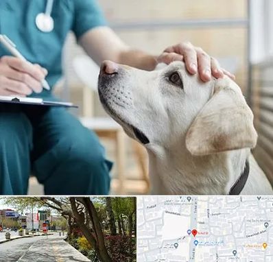 کلینیک دامپزشکی در خیابان توحید اصفهان