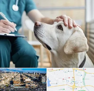 کلینیک دامپزشکی در شهرک راه آهن