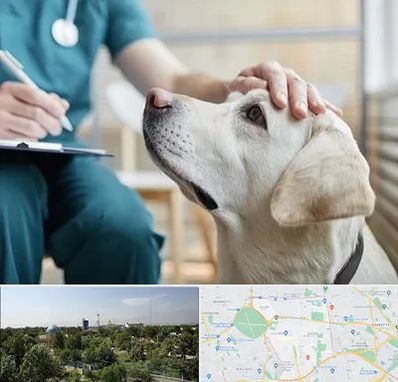 کلینیک دامپزشکی در منطقه 16 تهران