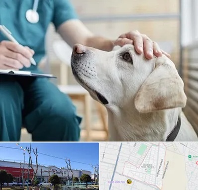 کلینیک دامپزشکی در فاز دو اندیشه