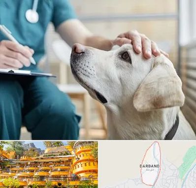 کلینیک دامپزشکی در دربند