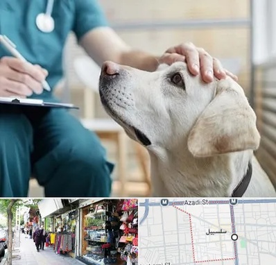 کلینیک دامپزشکی در سلسبیل