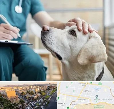 کلینیک دامپزشکی در تهرانپارس