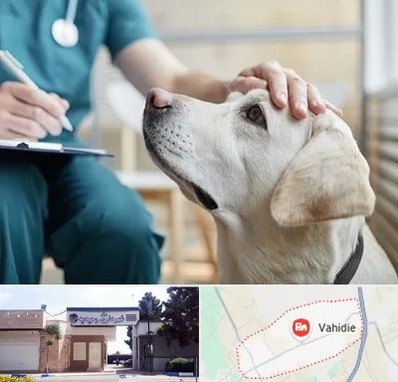 کلینیک دامپزشکی در وحیدیه شهریار