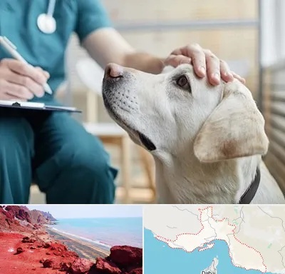 کلینیک دامپزشکی در هرمزگان