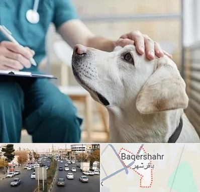 کلینیک دامپزشکی در باقرشهر