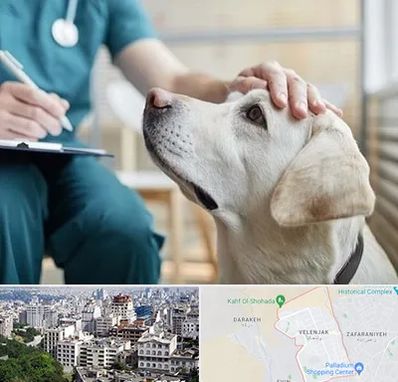 کلینیک دامپزشکی در ولنجک