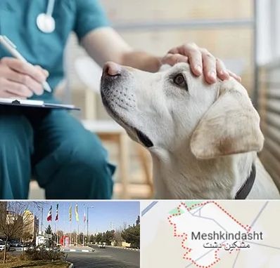 کلینیک دامپزشکی در مشکین دشت