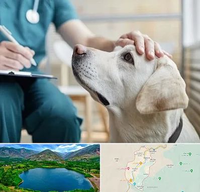 کلینیک دامپزشکی در رودبار