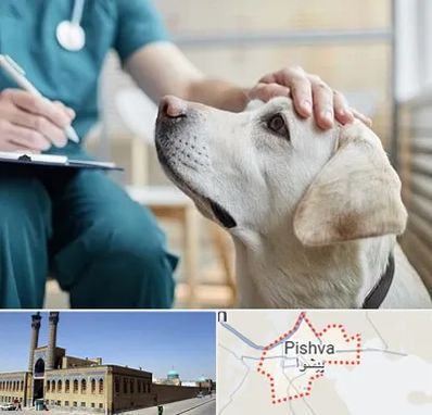 کلینیک دامپزشکی در پیشوا