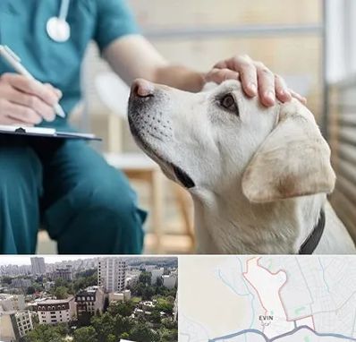 کلینیک دامپزشکی در اوین