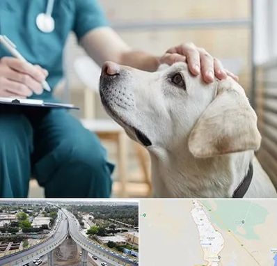 کلینیک دامپزشکی در اندیمشک