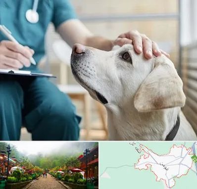 کلینیک دامپزشکی در فومن