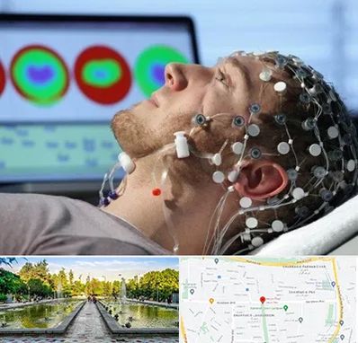 مرکز نوار مغز در سرسبز 