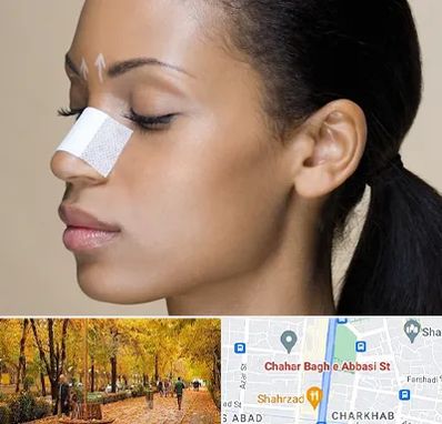 دکتر جراح بینی خانم در چهارباغ اصفهان 