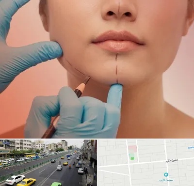 دکتر زیبایی خانم در خیابان دامپزشکی