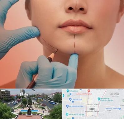 دکتر زیبایی خانم در بهارستان 