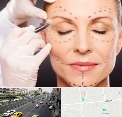 دکتر زیبایی صورت در خیابان دامپزشکی