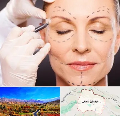 دکتر زیبایی صورت در خراسان شمالی