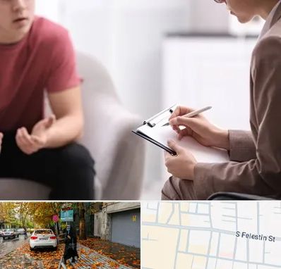 روانپزشک خانم در خیابان فلسطین