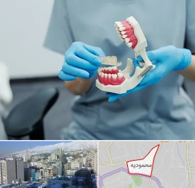 دندانپزشک خانم در محمودیه