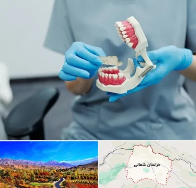 دندانپزشک خانم در خراسان شمالی
