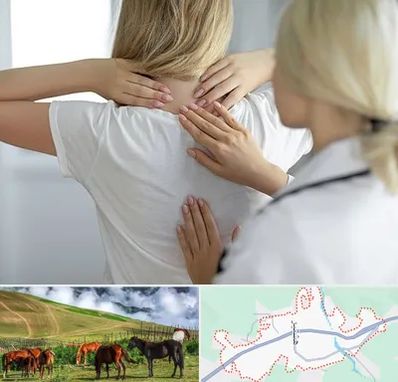 فیزیوتراپیست خانم در تالش