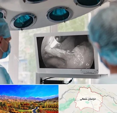 جراح ریه در خراسان شمالی